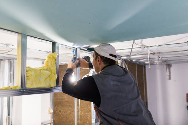 Best Soundproof Insulation Installation  in Northwoods, MO