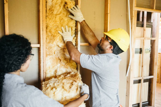 Attic Insulation Near Me in Northwoods, MO